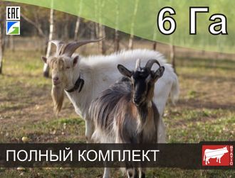 Электропастух для коз на 6 Га (1 км 2 ряда) Статик-3М